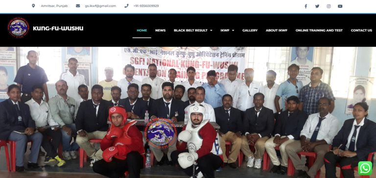 internationalkungfuwushu.com